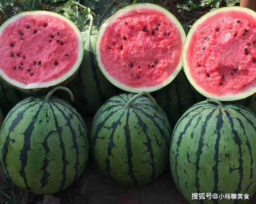 安排好行程娱乐吃瓜酱,尽享娱乐美食之旅