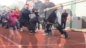 搞笑拔河面具,搞笑拔河面具，带你领略欢乐无限